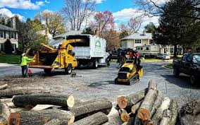 Best Utility Line Clearance  in Chester Gap, VA